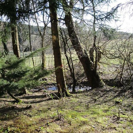 Ferienwohnung Wandervogel Braunlage Luaran gambar