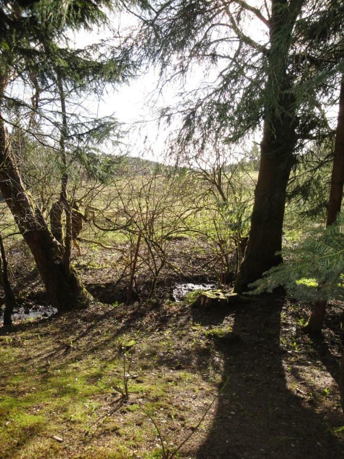 Ferienwohnung Wandervogel Braunlage Luaran gambar